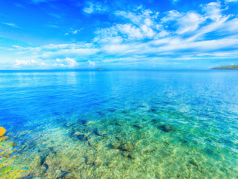 Check out tours and activites from Okinawa Main Island, Okinawa.